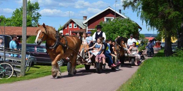 häst och vagn häst och vagn
